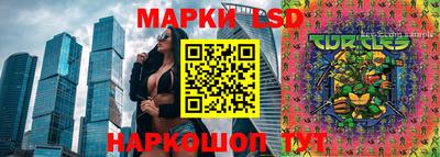 дурь Берёзовский