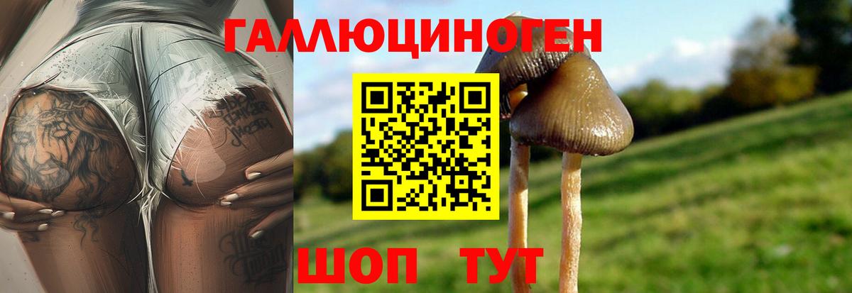 Псилоцибиновые грибы MAGIC MUSHROOMS  Галлюциногенные грибы ЛСД  Вход с VPN  купить   Ишимбай 